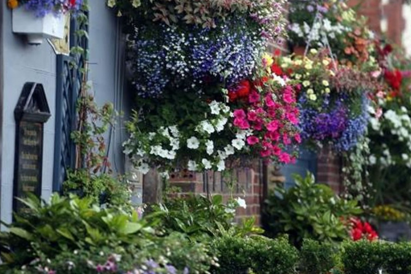 Durham strikes gold in Northumbria In Bloom contest